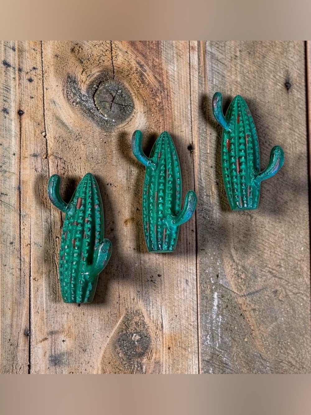 Green Cactus Wall Hooks Rustic Metal Home Wall Decor Set of 3